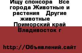 Ищу спонсора - Все города Животные и растения » Другие животные   . Приморский край,Владивосток г.